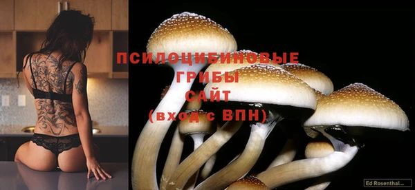 mix Верхний Тагил