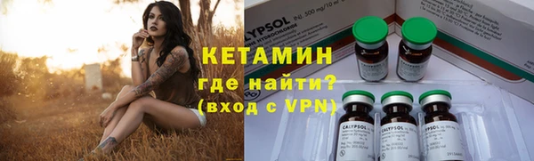шишки Володарск