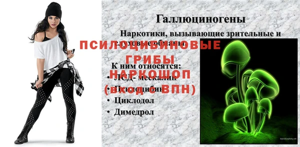 бошки Верея