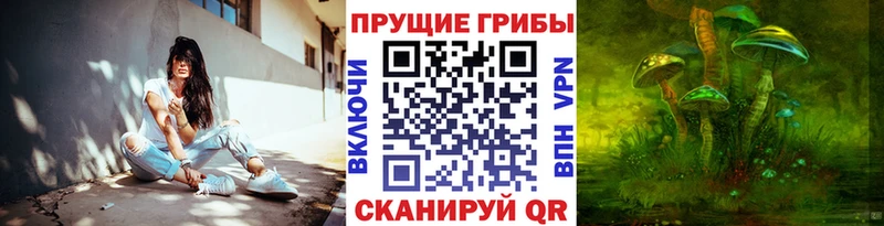 MEGA зеркало как найти наркотики Иланский Псилоцибиновые грибы мухоморы