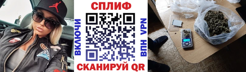 Конопля гибрид  Иланский 