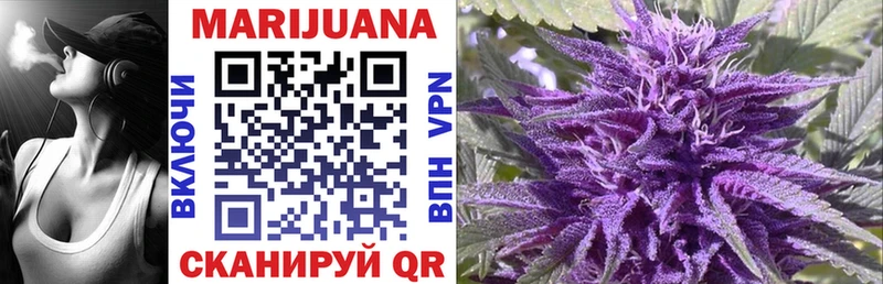 Канабис SATIVA & INDICA Иланский